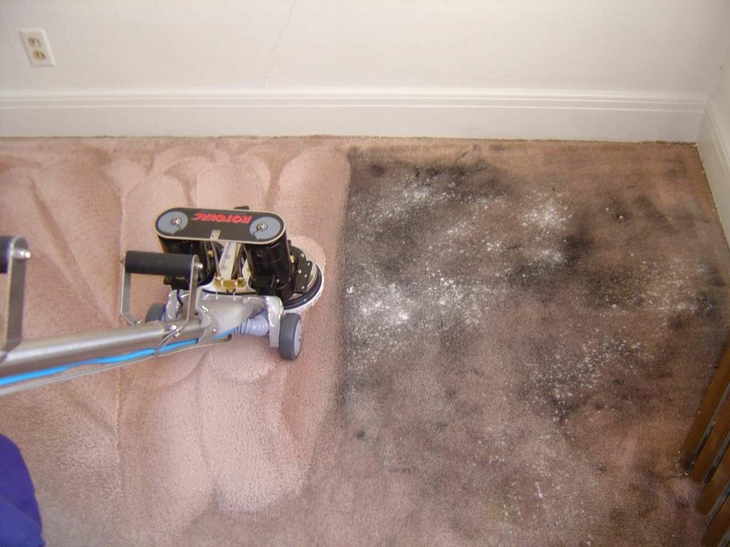 Grossbusters Carpet Cleaning Olympia WA 98513 8559378326